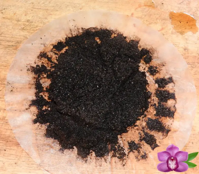 Are Coffee Grounds Good For Orchids? Is It Bad Advice? Hydroponic Orchids