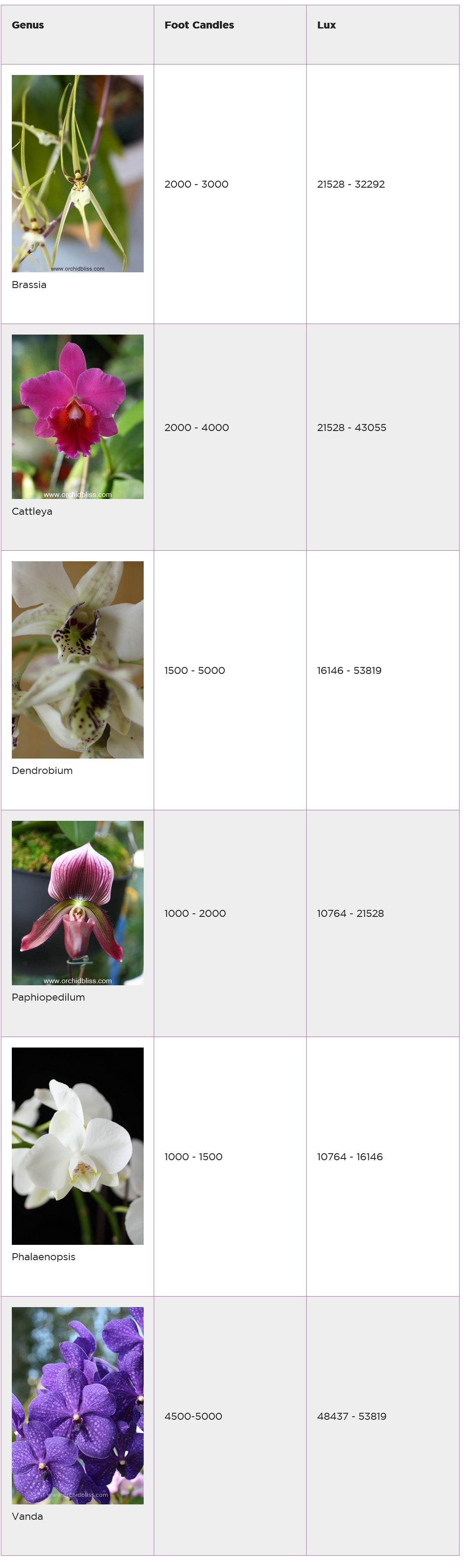 Orchid Light Requirement Chart