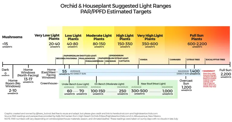 Light Ranges For Orchids And Other Houseplants